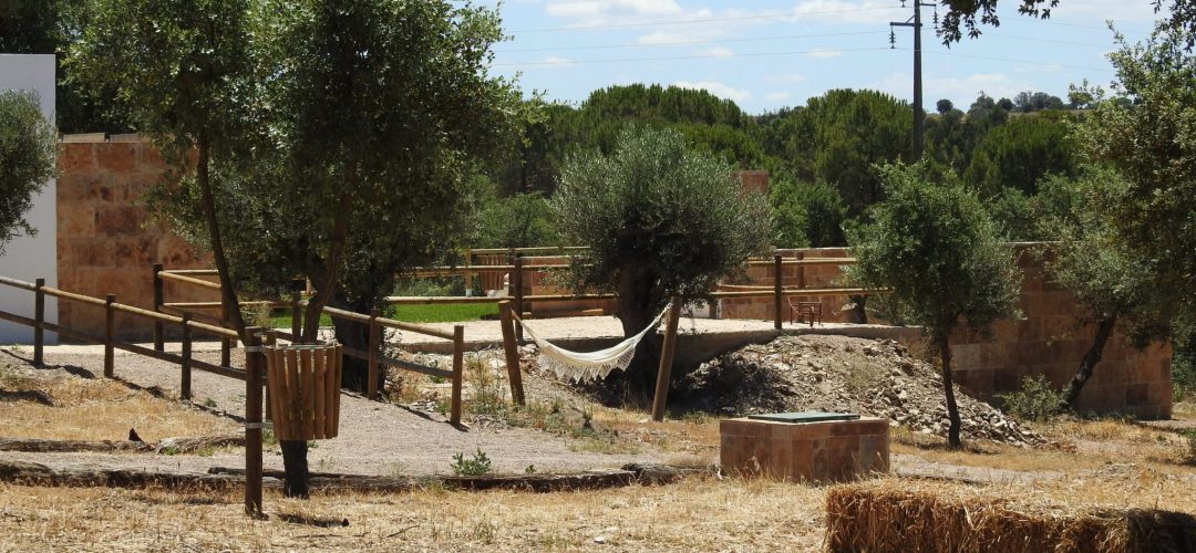 QuintaPedagógica_Farm